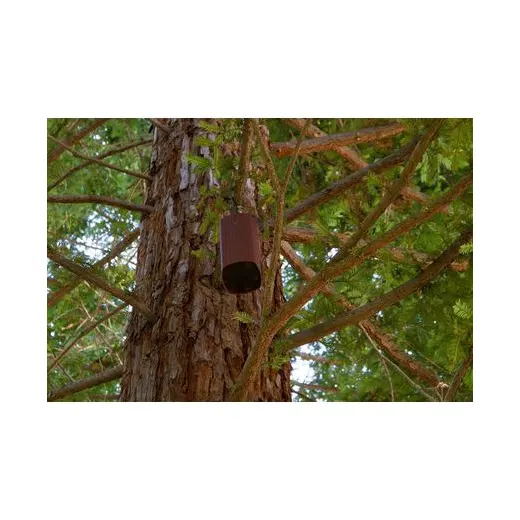 James Loudspeaker AT62-4 – Ansicht 5